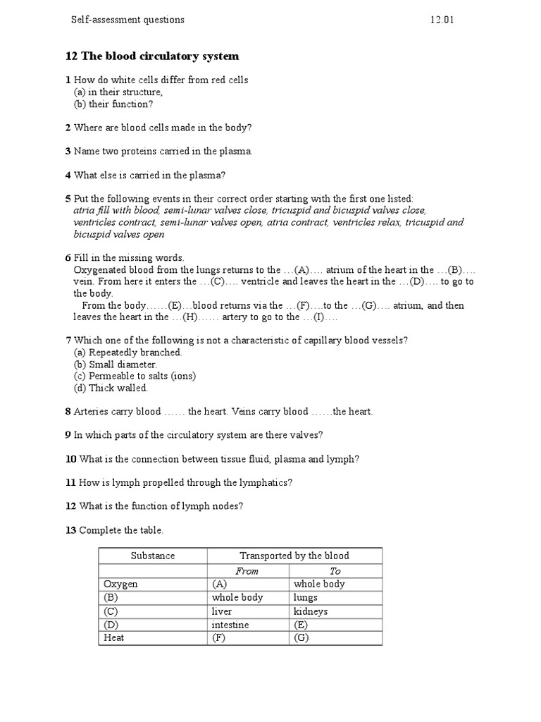 Blood Circulation Questions | PDF | Circulatory System | Heart