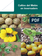Guia de Cultivo de Melon en Invernadero
