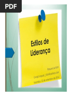 Aula 1 - Estilos de Liderança