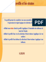 Profils et strates.pdf