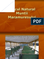 210744787 Www Referate Ro Parcul Natural Muntii Maramuresului Ppt f2796