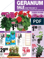 Seright's Ace Hardware Geranium Sale