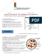 Sistema Circulatorio 1 Septimo