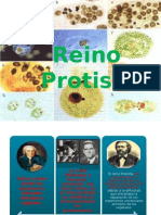 Reino Protista Tecnologico Grupo Emanuel