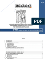 Programa Bolivia Filosof A PDF