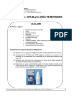 Info 1 - Glaucoma