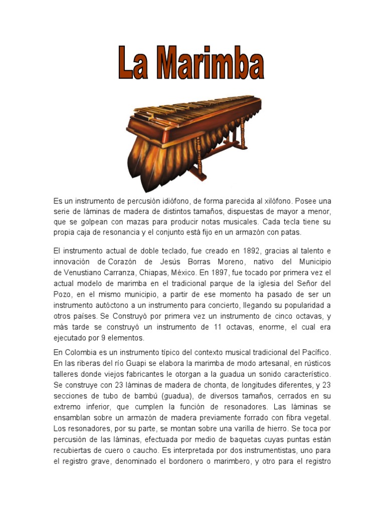 La Marimba Instrumentos musicales Tecnología musical