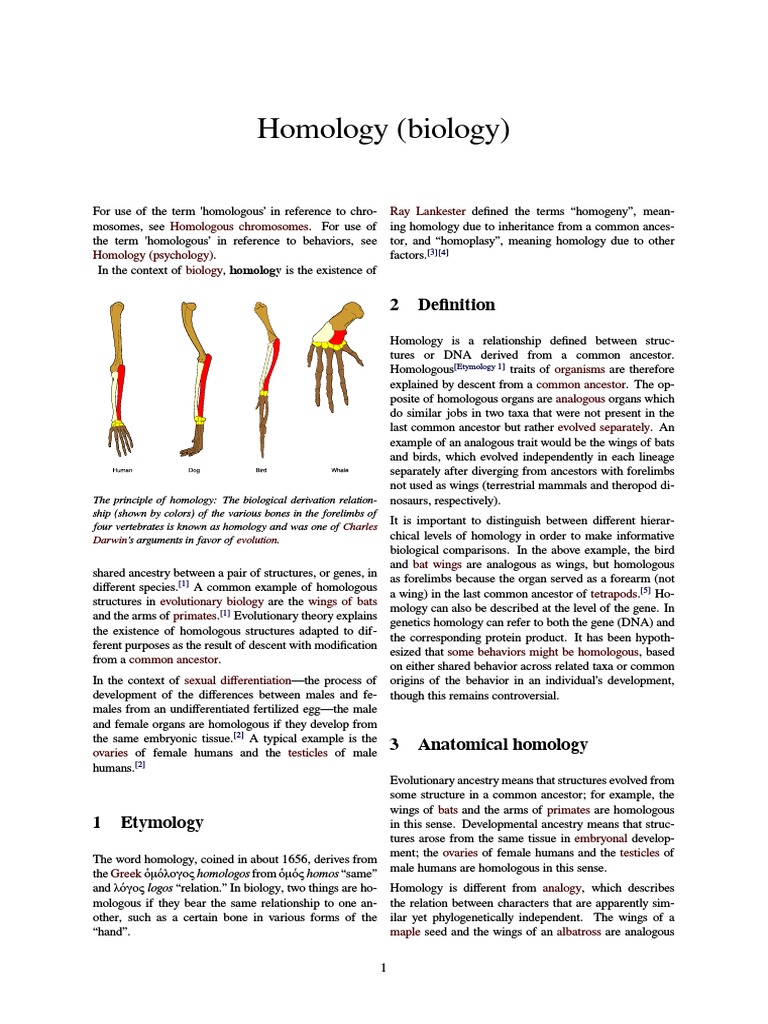 Homology (Biology) Homology (Biology) Conserved Sequence