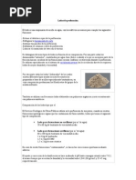 Lodos de Perforación