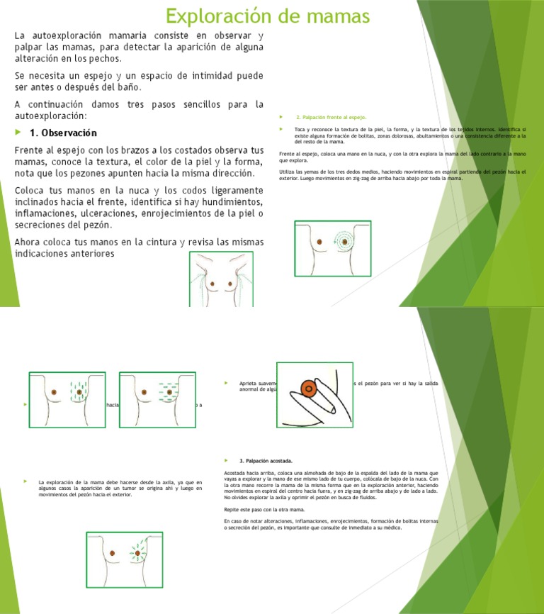 Guía De Autoexploración De Mamas Pdf 