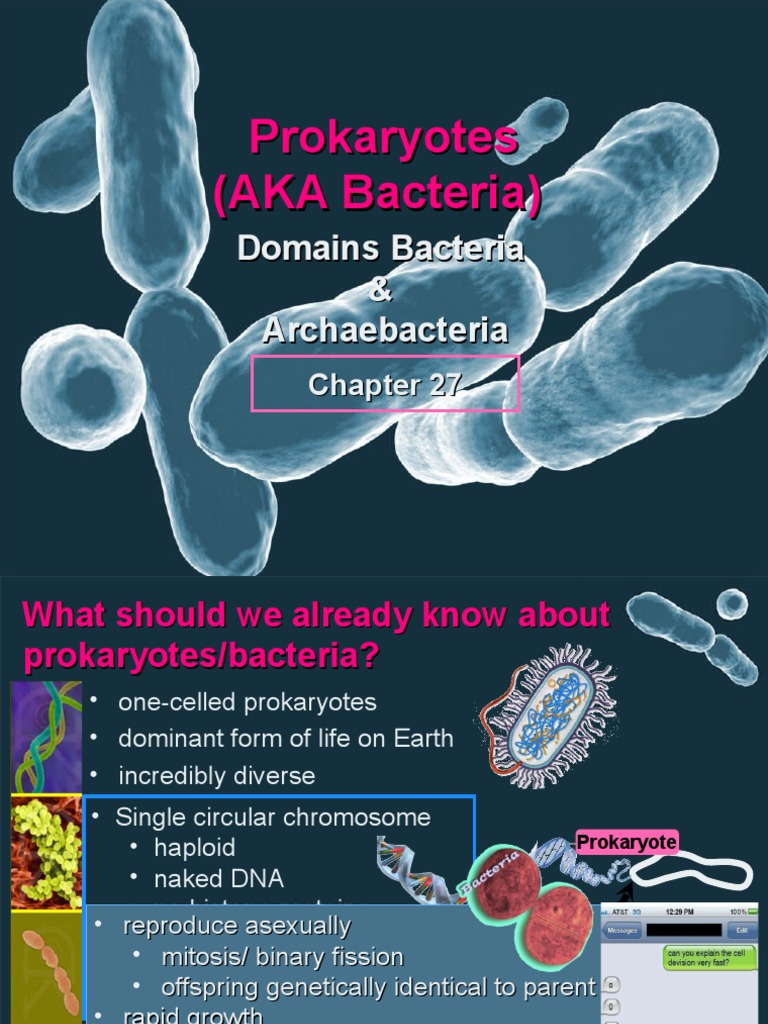 Bacteria Ppt Bacteria Prokaryote Free 30day Trial Scribd