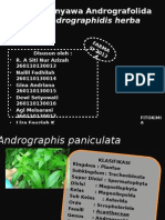 Isolasi Andrografolit