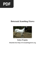 Kandang Kambing Etawa