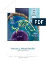 Apoptosis y Meiosis - Original