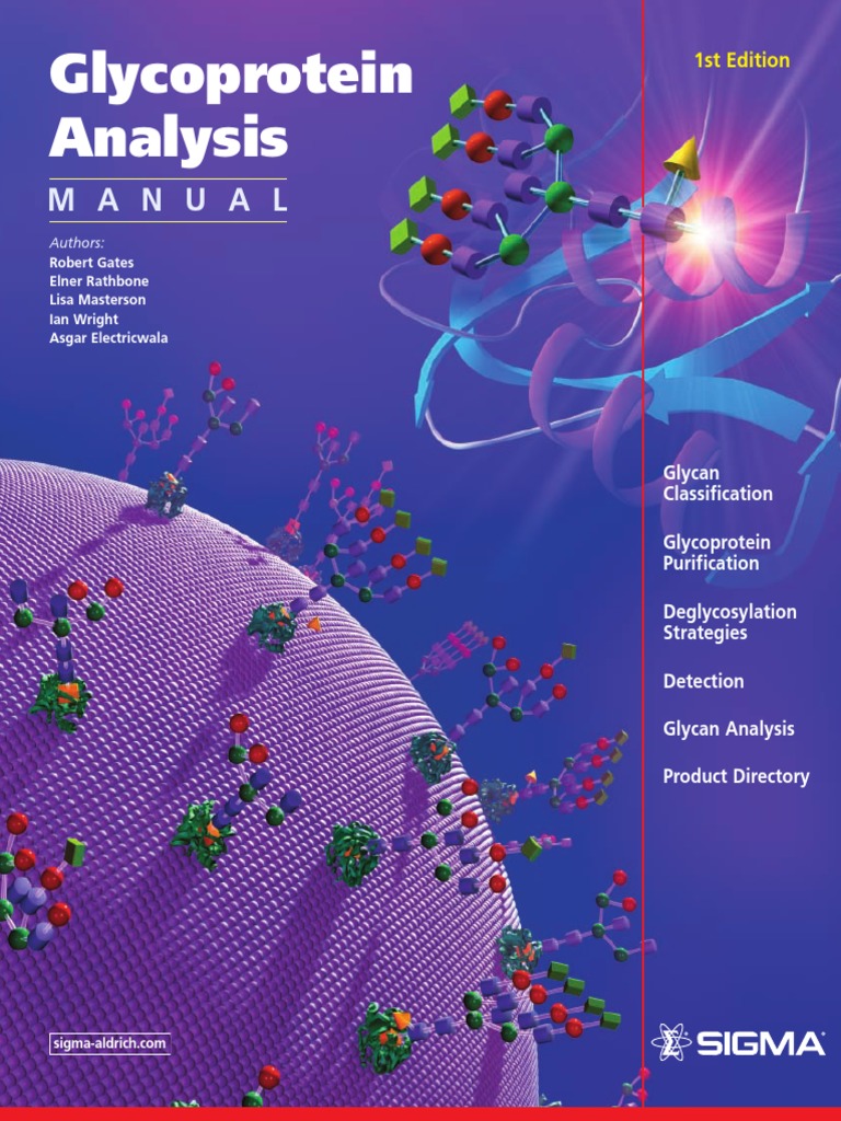 Glycosylation Methods and Analysis Sigma | PDF | Structural Biology ...