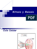 Mitosis Meiosis