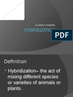 Hybridization PP