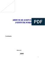 Audit Public Intern in Institutie Publica