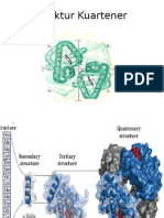 Struktur Quarterner Protein