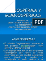 Angiospermas y Gimnospermas