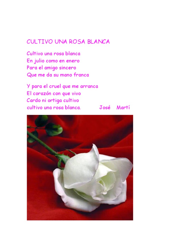 Cultivo Una Rosa Blanca PDF