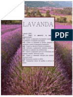 LAVANDA