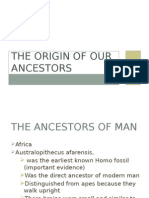 The Origin of Our Ancestor (GR 7)