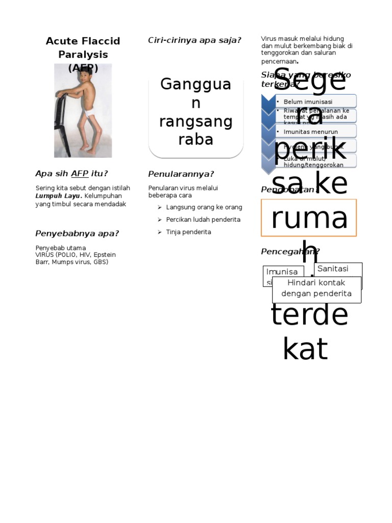 Risiko dan Pencegahan AFP | PDF
