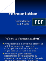 Fermentation: Understanding the Process of Converting Carbohydrates into Alcohol and Acid