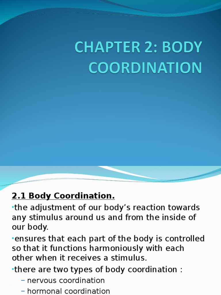 Body Coordination and Nervous System | PDF | Nervous System | Central ...