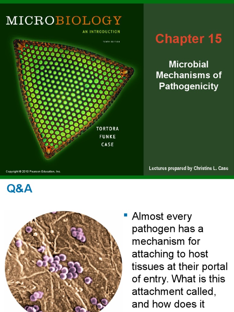 MICROBIOLOGY TORTORA 10TH EDITION visual data 7