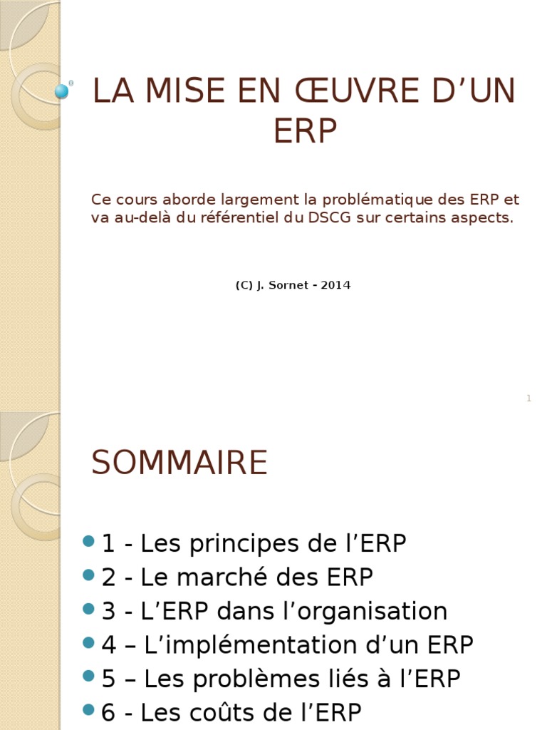 ERP | PDF | Progiciel de gestion intégré | Informatique