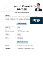 Modelo de Curriculum Vitae 