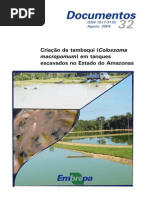 Criação de tambaqui em tanques  escavados no Estado do Amazonas