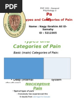 Types and Categories of Pain