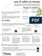 Guía Completa-Como Cultivar Tomates