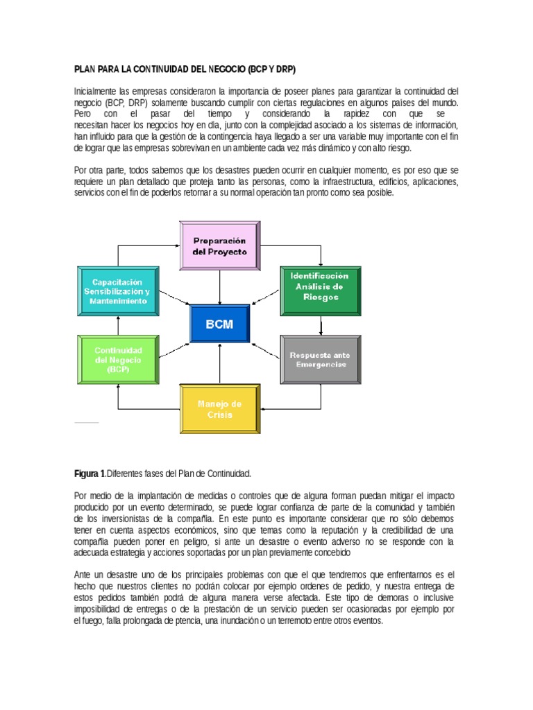 Plan de Continuidad del Negocio (BCP) | PDF | Itil | Apoyo