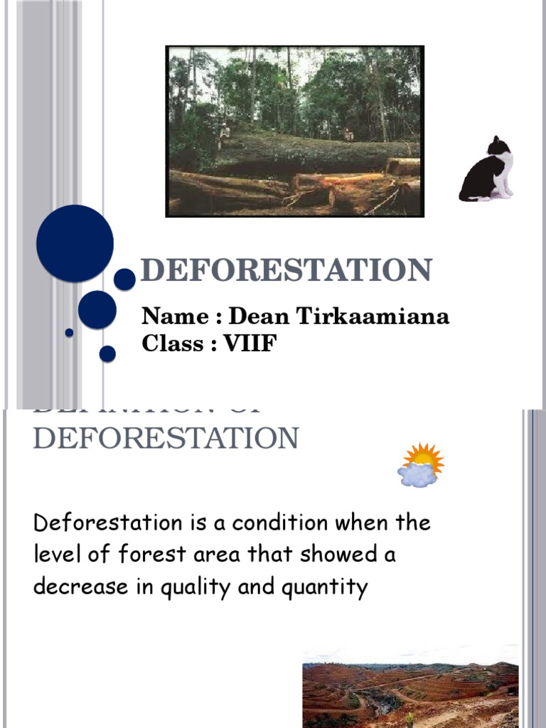 Understanding Deforestation Causes and Effects | PDF
