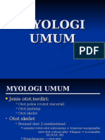 Bab-04 Myologi Umum