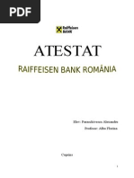 Politici Si Strategii De Marketing Raiffeisen Bank
