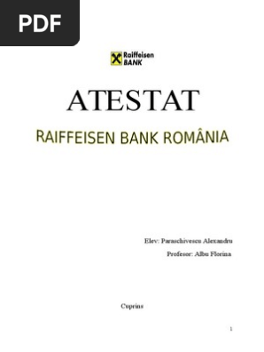 Politici Si Strategii De Marketing Raiffeisen Bank