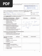 professional experience final report