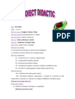 Proiect Didactic Clasa A2-A Buburuza