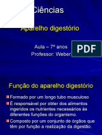 Aula Aparelho Digestório