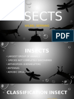 Insects