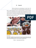 Embriologi Modul Praktikum2 PDF