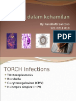 Torch Dalam Kehamilan - Randi