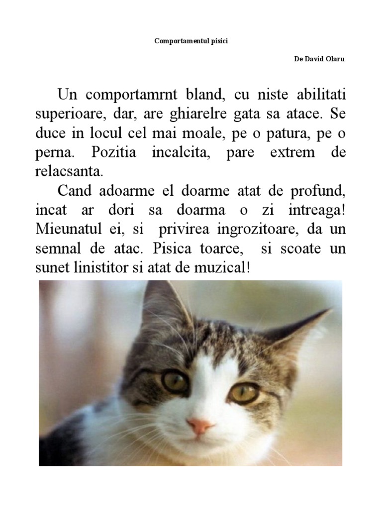 Comportamentul Pisicii  PDF
