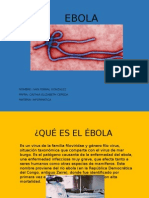 Ébola: virus mortal y sus síntomas