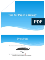 tips for paper 6.pdf